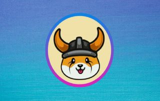 میم کوین فلوکی و تفاوت آن با شیبا و دوج کوین