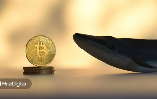 تحلیلگران: بازگشت بیت کوین به بالای ۴۰هزار دلار به خاطر خرید نهنگ‌ها بوده است